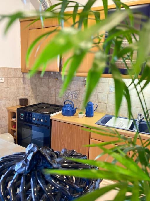 Apartment The Heart Of 1 Aegina