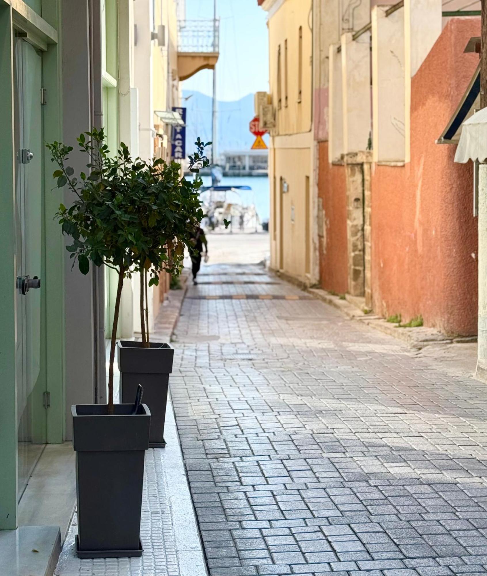 The Heart Of 1 * Aegina